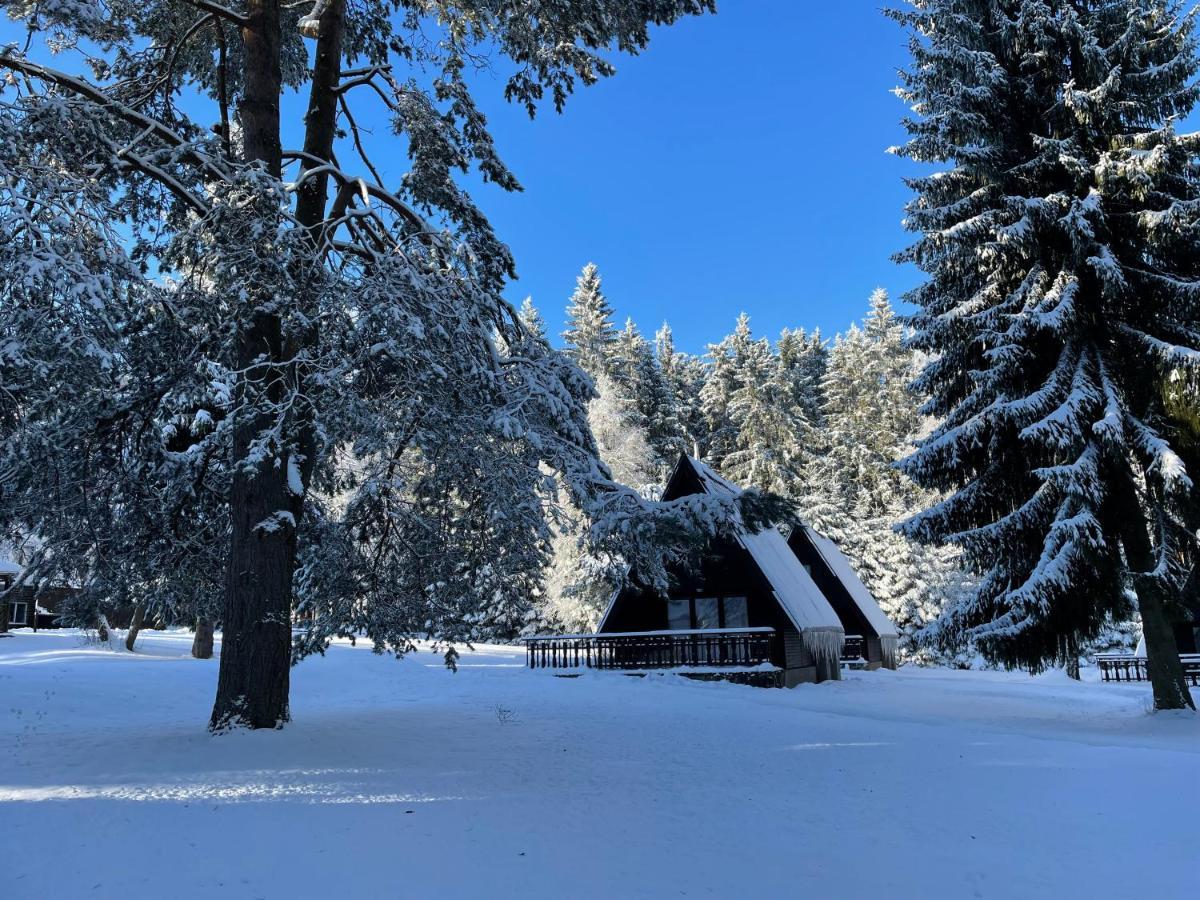 Hotel A Penzion Pegas Vlachovice Экстерьер фото