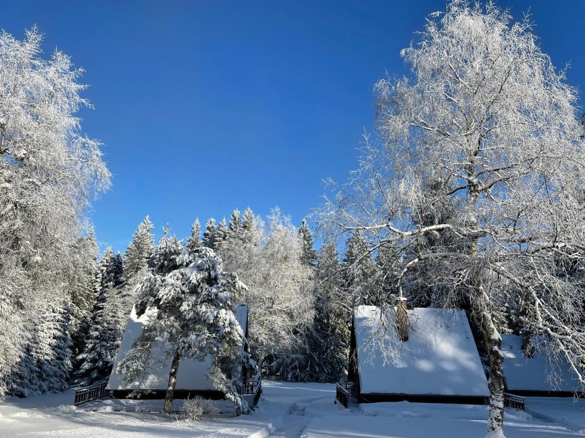 Hotel A Penzion Pegas Vlachovice Экстерьер фото