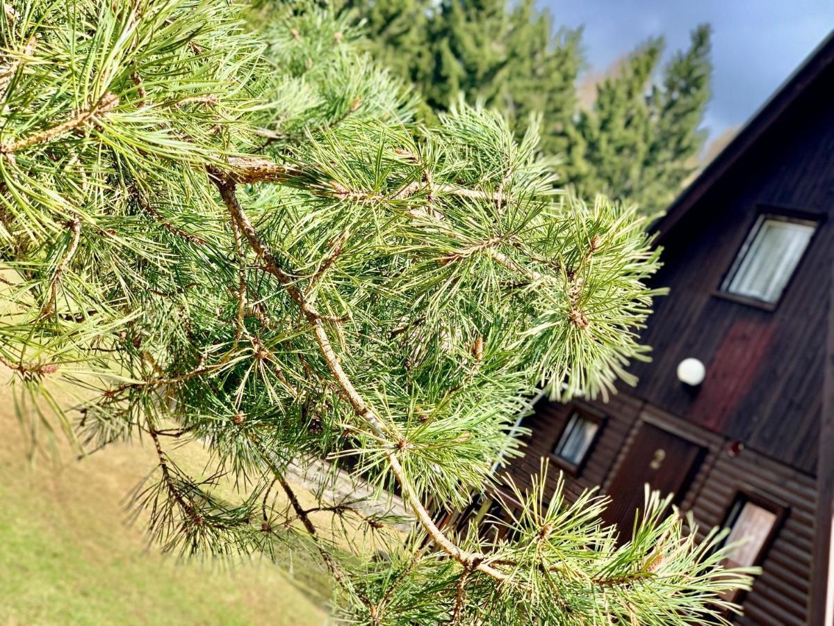 Hotel A Penzion Pegas Vlachovice Экстерьер фото